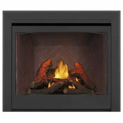 Ascent Deep 42 Fireplace - Napoleon -DIMPLEX Sales Store 1 38581.1639143537