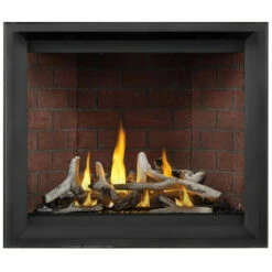Altitude X 42" Fireplace - Napoleon -DIMPLEX Sales Store 1 68812.1638803257