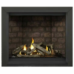 Altitude X 42" Fireplace - Napoleon -DIMPLEX Sales Store 2 00996.1638803257