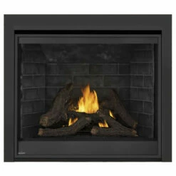 Ascent Deep 42 Fireplace - Napoleon -DIMPLEX Sales Store 2 78625.1639143537