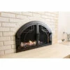 Mavericks Arched Fireplace Door - Wrought Iron