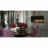 Ascent 46 Linear Gas Fireplace (Electronic Ignition) - Napoleon