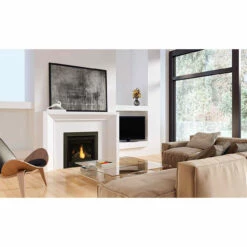 Ascent 30 Electronic Ignition Gas Fireplace - Napoleon