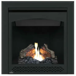 Ascent 30 Electronic Ignition Gas Fireplace - Napoleon -DIMPLEX Sales Store B30 3 21700.1639571360