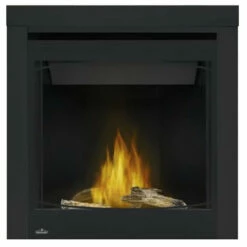 Ascent 30 Electronic Ignition Gas Fireplace - Napoleon -DIMPLEX Sales Store B30 4 56117.1639571360