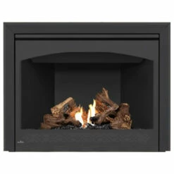 Ascent 42 Fireplace - Napoleon -DIMPLEX Sales Store B42 4 39651.1640019514