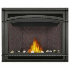 Ascent 42 Fireplace - Napoleon -DIMPLEX Sales Store B42 5 31632.1640019514