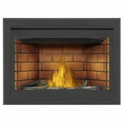 Ascent 46 Electronic Ignition Gas Fireplace - Napoleon -DIMPLEX Sales Store B46 3 31367.1639577818