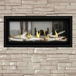 Luxuria 38 See Through Linear Gas Fireplace - Napoleon -DIMPLEX Sales Store Capture 92095.1638195190