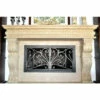 Catalina Rectangular Fireplace Door - Wrought Iron