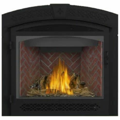 Ascent X 36 Electronic Ignition Fireplace - Napoleon -DIMPLEX Sales Store GX36 1 36374.1639495906