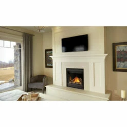 Ascent X 36 Millivolt Ignition Fireplace - Napoleon