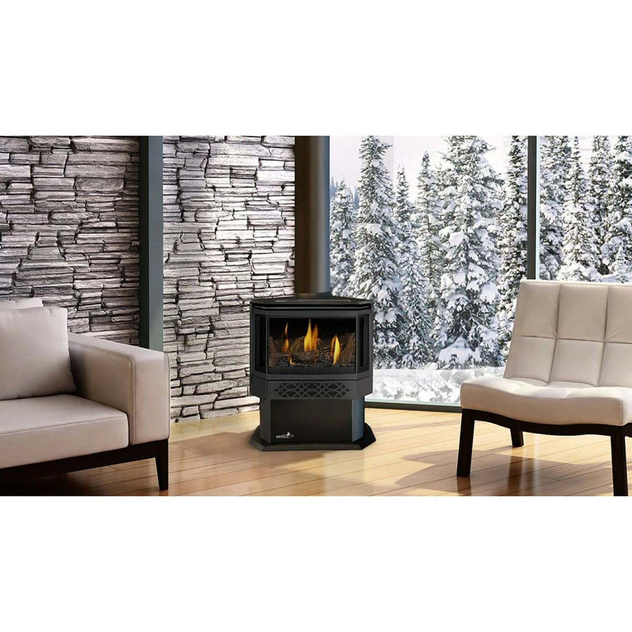 Haliburton Direct Vent Gas Stove (Electronic Ignition) - Napoleon 2 Haliburton Direct Vent Gas Stove (Electronic Ignition) - Napoleon - Image 2