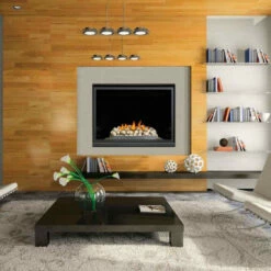 Napoleon HD46NTSB Clean Face High Definition Direct Vent Gas Fireplace -DIMPLEX Sales Store HD46NT 2 06944 28305.1561150416