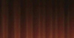 Liner, Ridgeback, Bronze- American Hearth