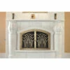 Alexandria Arched Fireplace Door - Wrought Iron
