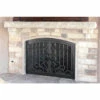 Arcadia Arched Fireplace Door - Wrought Iron