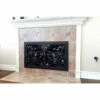 Autumn Rectangular Fireplace Door - Wrought Iron