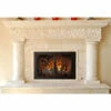 Azalea Rectangular Fireplace Door - Wrought Iron