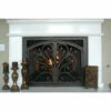 Orchid Rectangular Inside Arch Fireplace Door - Wrought Iron